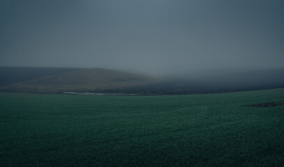 Faded nature in late summer and autumn
