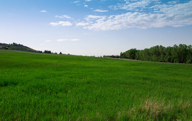 Obraz na płótnie Canvas Countryside landscape, rural Alberta, pasture, endless sky