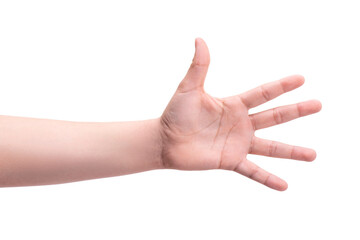 Gestures. One person's hand shows five fingers. Account concept 1,2,3,4,5.