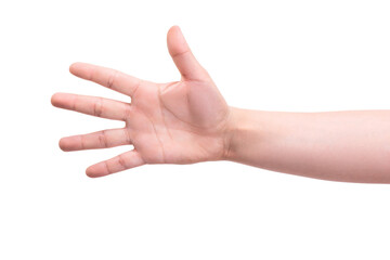 Gestures. One person's hand shows five fingers. Account concept 1,2,3,4,5.