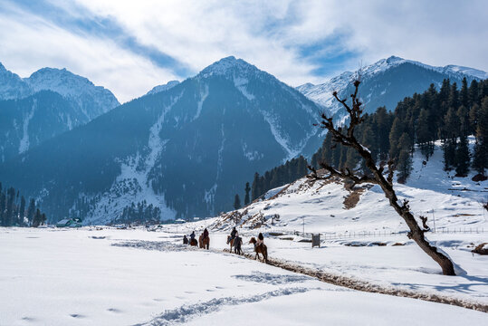 Tourists Enjoying Horse Riding at Aru Valley in winter scene, near Pahalgam, Kashmir, India.