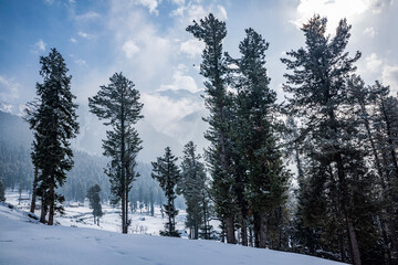 Beautiful view of pahalgam valley, Pahalgam, Kashmir, India