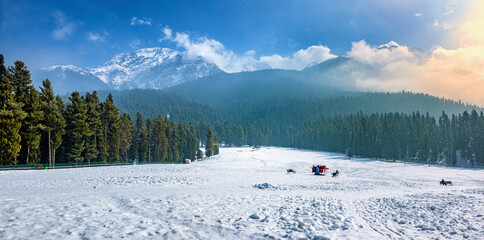 Beautiful winter landscape of "Baisaran" Valley Pahalgam, Kashmir