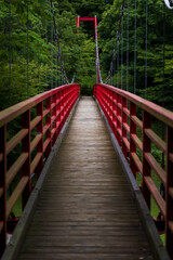 Obraz premium bridge in the forest
