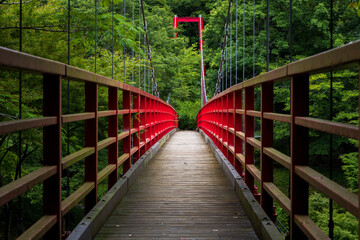 red wooden bridge