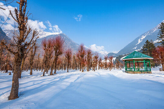 View of Betab Valley in winter season, near Pahalgam, Kashmir, India