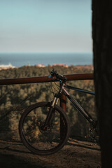 Fototapeta premium Mountain bike stands in front of scenic downhill with pine trees and sea in the distance. Cycling outdoor during summer concept
