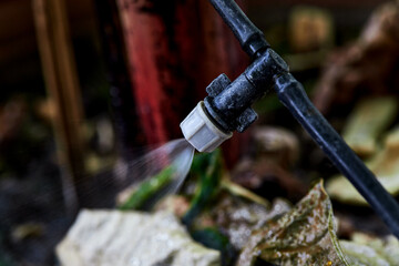 Fototapeta premium watering the garden with sprinkler