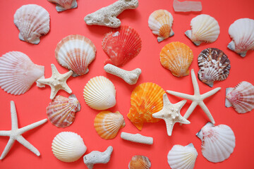 Summer greeting concept. seashells on Red background. Colorful seashells composition background for summer greeting card, event, banner, frame design.
