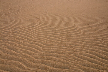 Close up of Track Marks of Water on Beach Sand