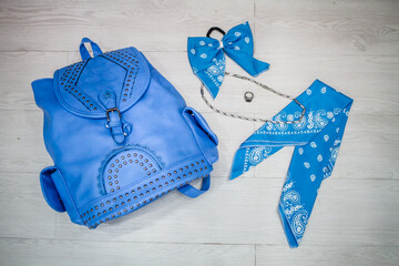 estilo monocrom&aacute;tico indumentaria y accesorios celeste azul