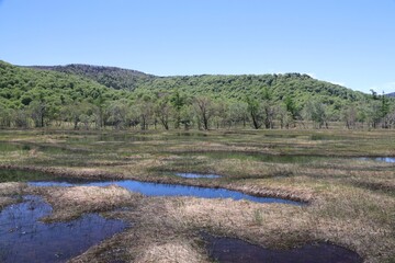 尾瀬/6月。　まだ水芭蕉が咲き残る初夏の尾瀬ヶ原。山、空が写る池。
