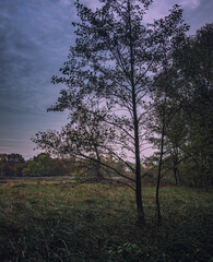 Obraz premium Autumn sunset