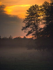 Fototapeta premium Autumn sunset