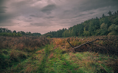 Autumn sunset