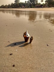 beach and sea