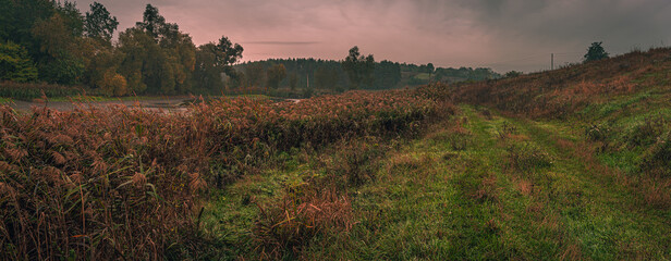 Autumn woods