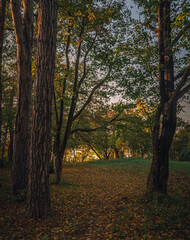 Fototapeta premium Autumn sunset