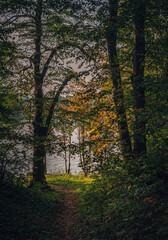 Obraz premium Autumn sunset