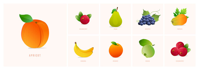Set of fruits, Modern style vector illustrations. pomegranate, Avocado, Banana, Cranberry, Kiwi, Lemon, Mangosteen, Mango, Orange etc.