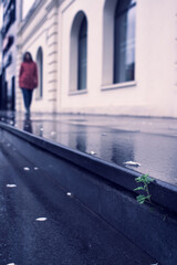 green grass break through the sidewalk in the city and the silhouette of woman at the background