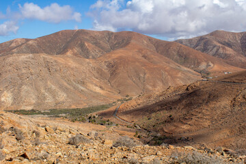 Fototapeta na wymiar Wüstenlandschaft auf Fuerteventura