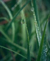 Nature beauty