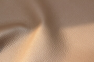 
genuine leather texture