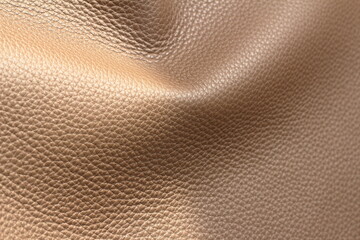 
genuine leather texture