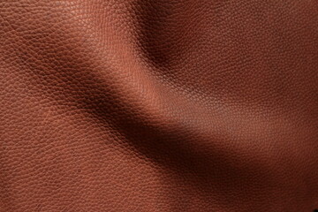 
genuine leather texture