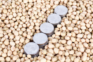 Dollar coins in soybeans