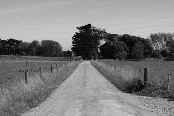 Black and White dirt road