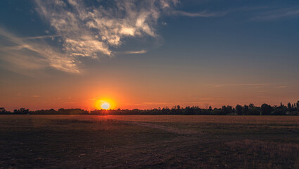 Summer moring among fields