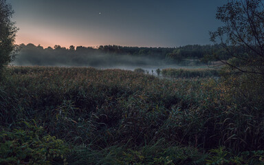 Summer moring among fields