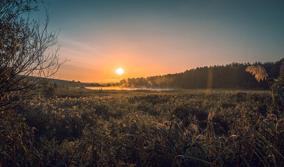 Summer moring among fields