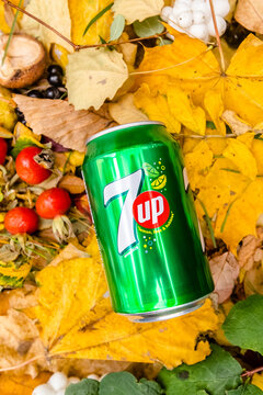 Saint-Petersburg, Russia, 17102018 Drink 7Up in a glass tin bottle on autumn yellow green foliage of trees, spruce, cones, chestnuts, berries, wild rose, birch, linden, white with a drop of dew, rain
