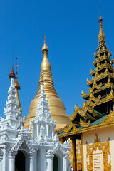 Fototapeta premium Shwedagon Pagoda complex - Yangon - Myanmar