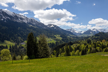 Fototapeta na wymiar Alpenpanorama mit Schneebedeckten Gipfeln und grünen Wiesen und Bäumen