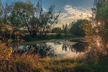Summer moring among fields