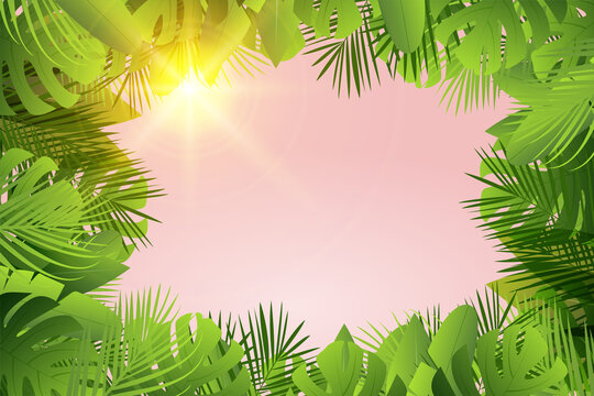 Summer tropical  leaf's frame with sun, palm leaves  background with place for your text.  Vector illustration.