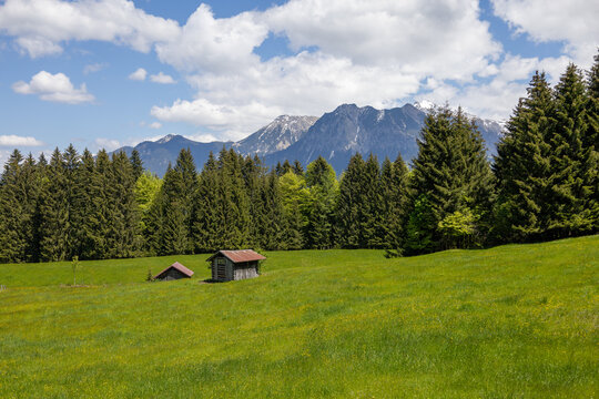 Holzh&uuml;tte in den Alpen mit Blumen und wundervoller Landschaft drumherum 