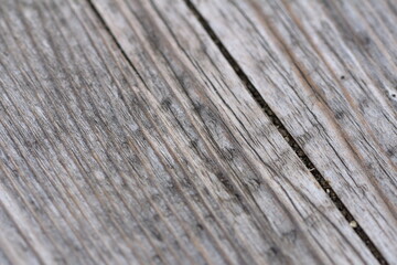 Obraz premium old wood texture