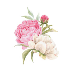 Beautiful floral composition with hand drawn watercolor gentle pink peony flowers bouquet. Stock illuistration. - obrazy, fototapety, plakaty