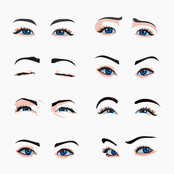 Various types of woman eyes. Collection of illustrations with captions. Makeup type infographic. Different - close, protruding, hooded, almond, upturned on white background
