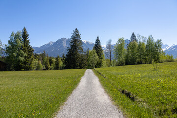 Fototapeta na wymiar Alpenpanorama mit Schneebedeckten Gipfeln und grünen Wiesen und Bäumen