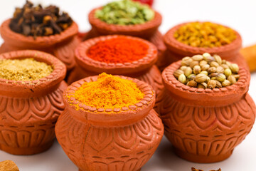 Indian spices collection, dried colorful condiment, nuts, pods and seeds and another spices in clay bowls.