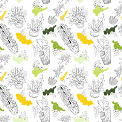 Hand drawn bright funny doodle pattern with home plants