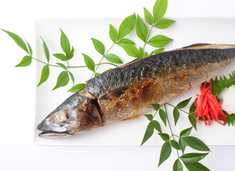 さばの塩焼き