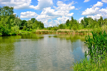 Fototapeta na wymiar Pond or lake in the forest at summer sunny day, Stary Sacz, Poland