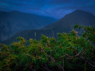 fog in the mountains